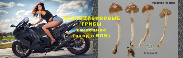спайс Балахна