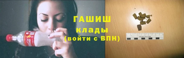 индика Баксан