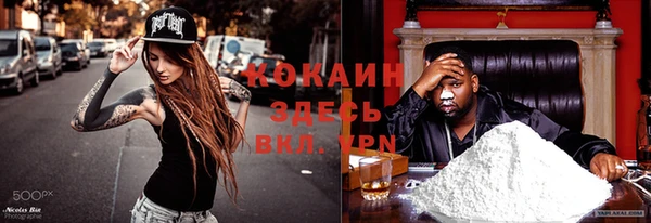 индика Баксан