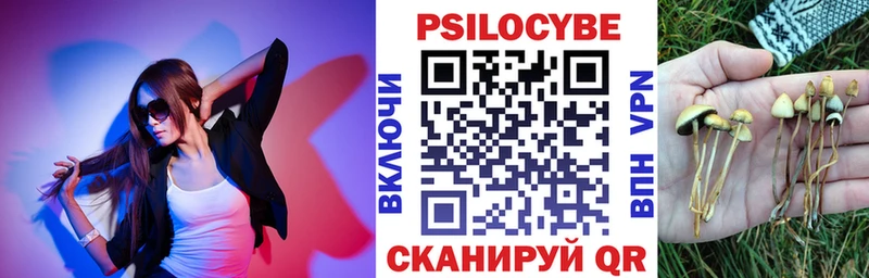 Галлюциногенные грибы Psilocybine cubensis  Лакинск 